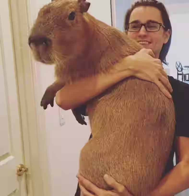 capibara 23